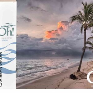 Perfumes equivalencia SAUVAGE de DIOR - Caribean 38