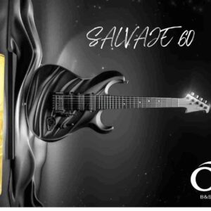 Perfume equivalencia Sauvage Elixir de Dior - SALVAJE 60