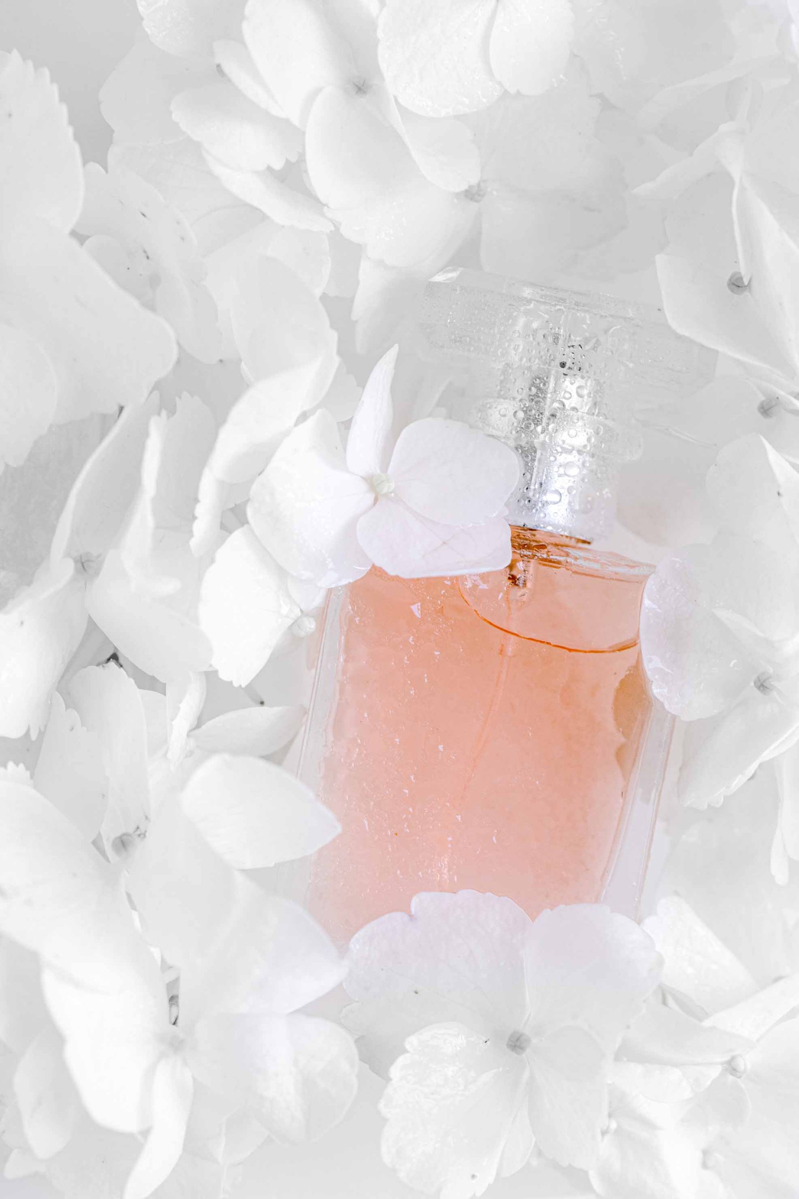 The Perfume Shop Shortlisted For Corporate Content Awar