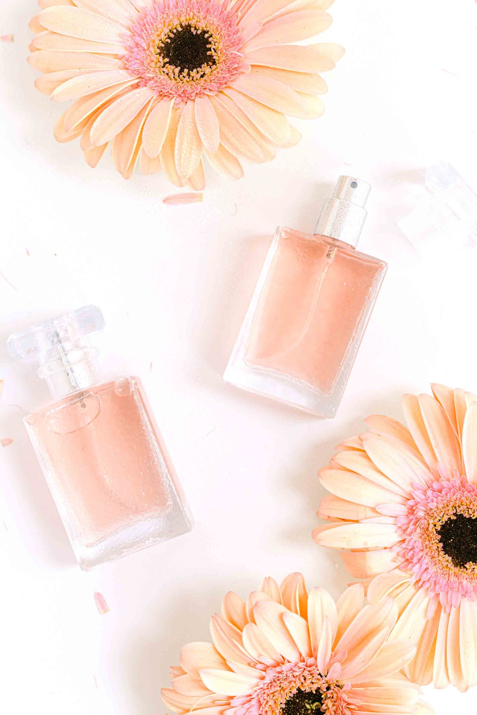 Dubai Festival City And Arabian Ranches Discover